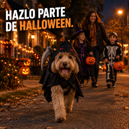Disfraz de Halloween para Mascotas